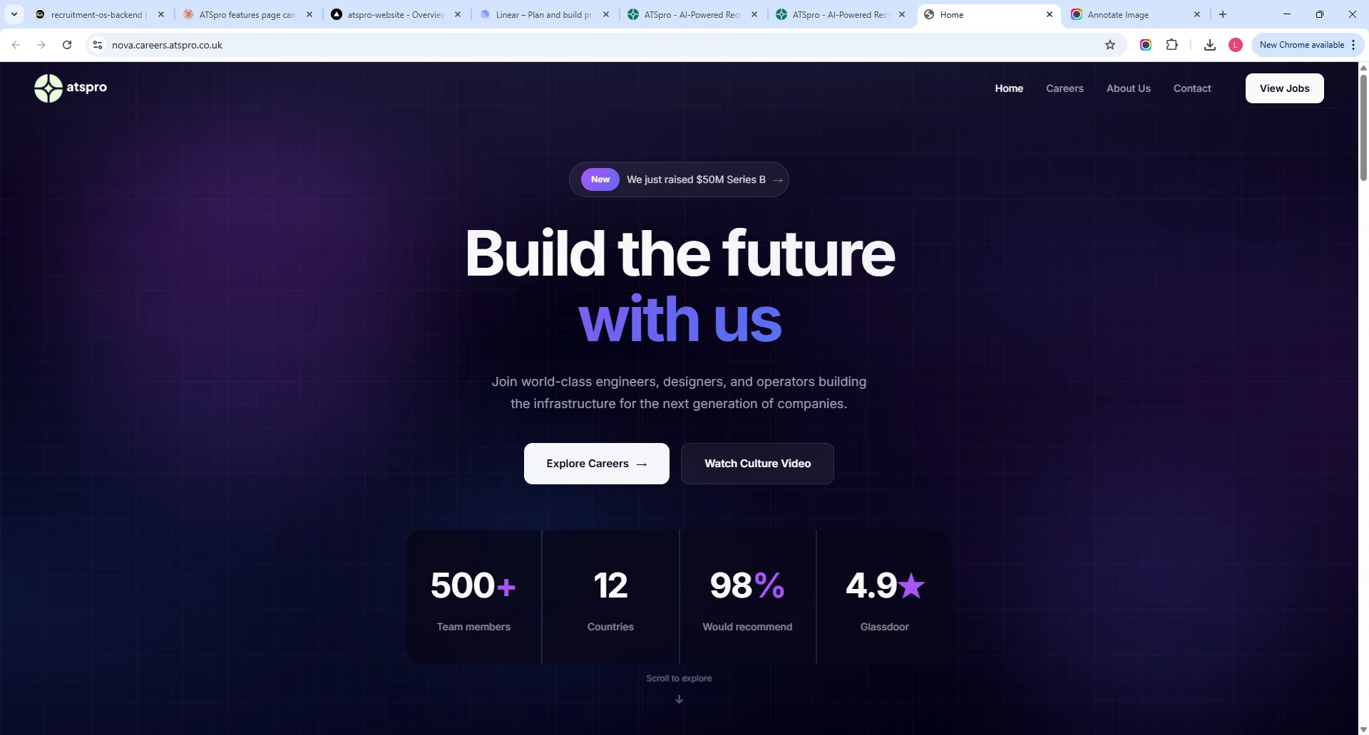 Nova careers site template preview